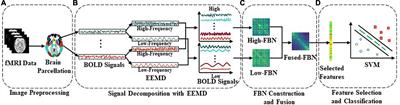 Multi-band network fusion for Alzheimer’s disease identification with functional MRI